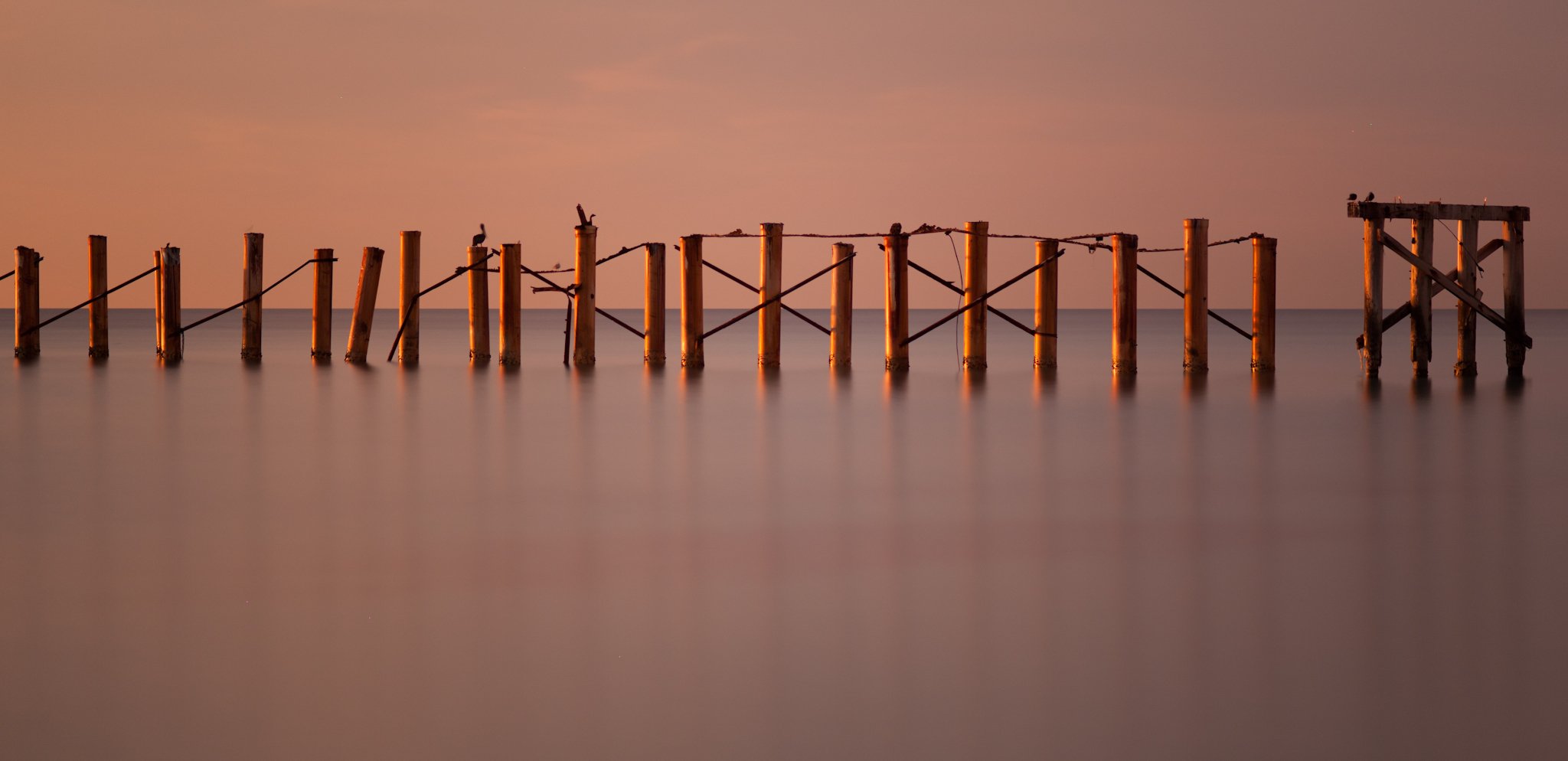 Newport Fishing Pier