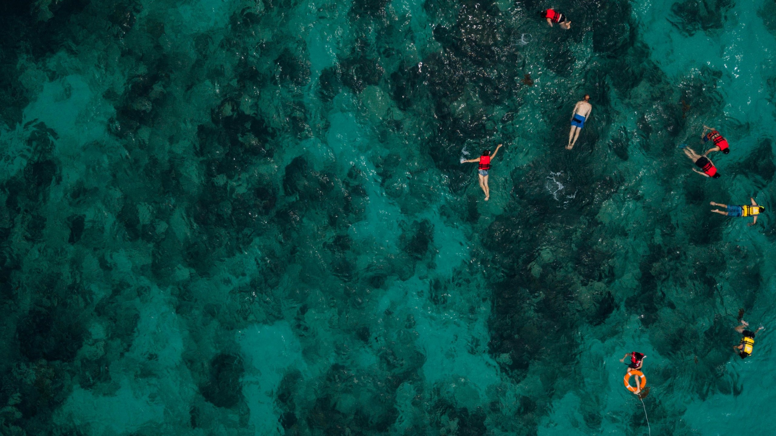 Snorkeling in South Florida