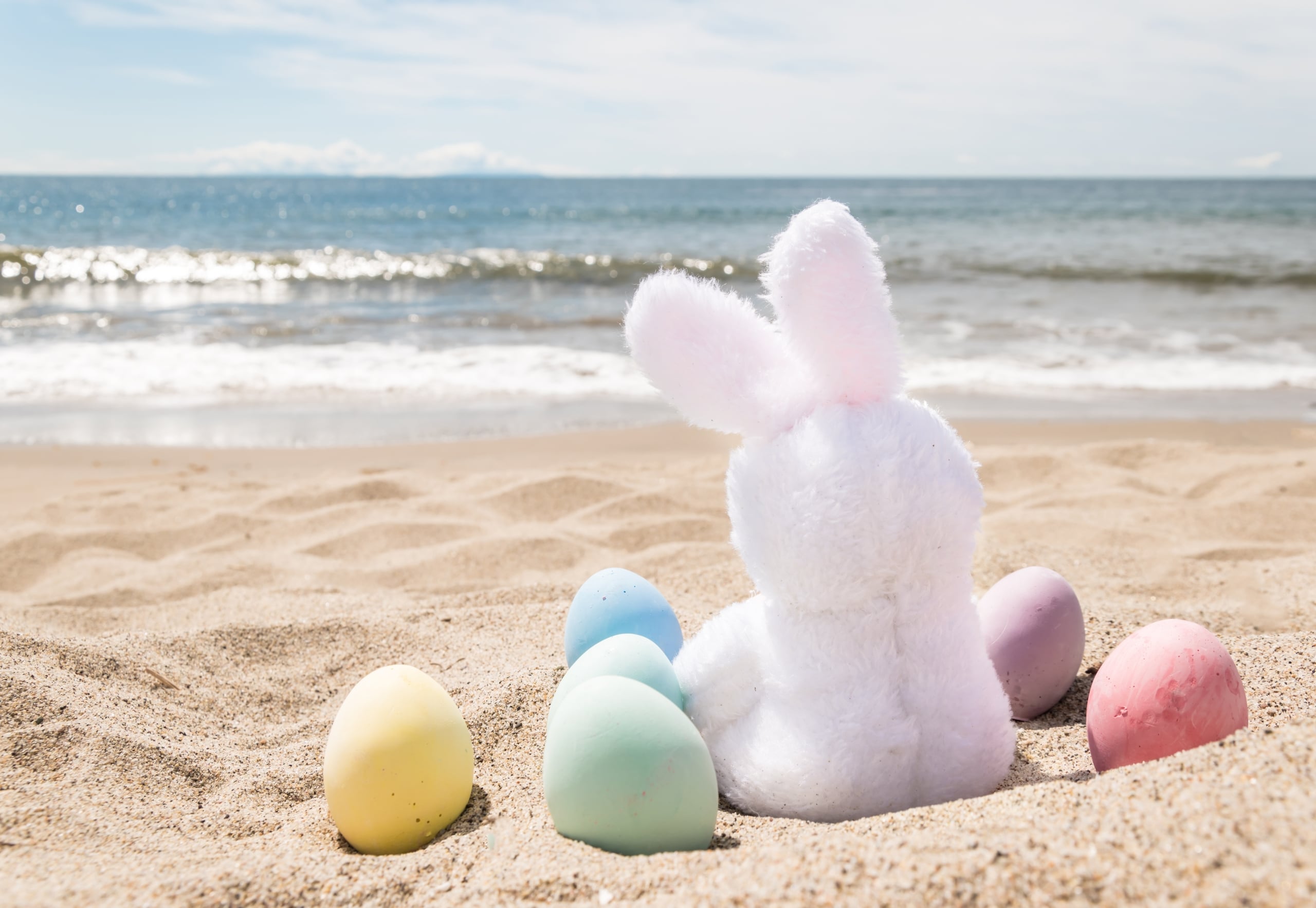 Easter Bunny On the Beach